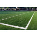 Искусственная трава TenCate Stadio Grass 60 мм 75_75