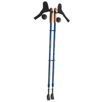 Палки для скандинавской ходьбы Nordic Ergo 2-секционные 110-140 см E-0673 красно-серебристые