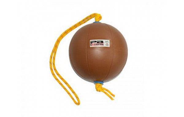 Функциональный мяч 5 кг Perform Better Extreme Converta-Ball 3209-05-5.0 коричневый 600_380