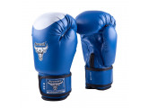 Перчатки боксерские Roomaif RBG-100 Dx Blue