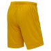 Шорты игровые Jogel DIVISION PerFormDRY Union Shorts, желтый 75_75