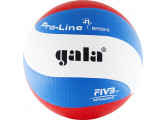 Мяч волейбольный Gala Pro-Line Top BV5591S р.5
