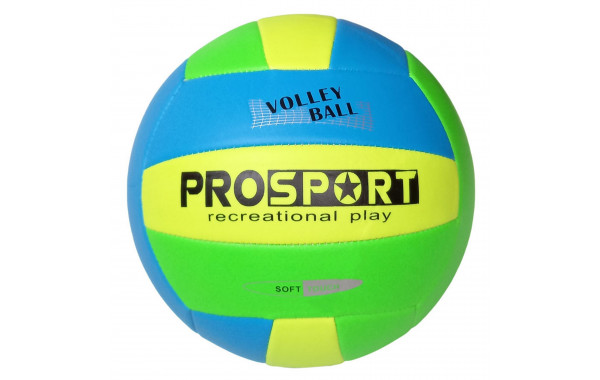 Мяч волейбольный Sportex E40006-2 р.5 600_380