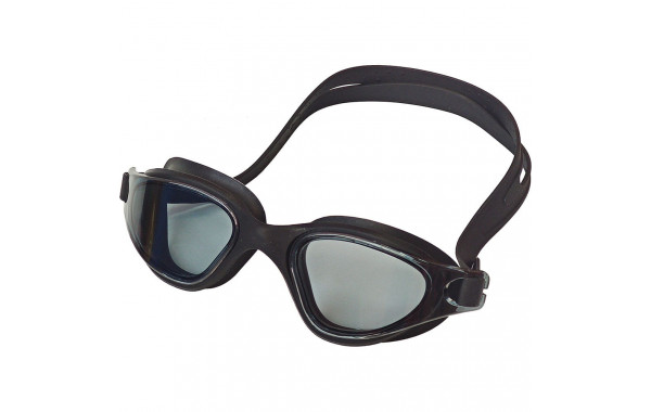 Очки для плавания взрослые Sportex E36880-8 черный 600_380