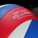 Мяч волейбольный Larsen VB-ECE-6000B р.5 75_75