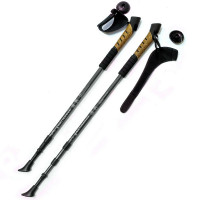 Палки для скандинавской ходьбы Sportex телескопическая, 3-х секционная F18443 черный