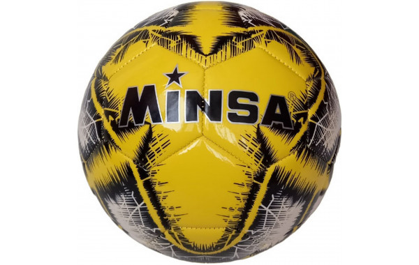Мяч футбольный Minsa B5-8901-3 р,5 600_380