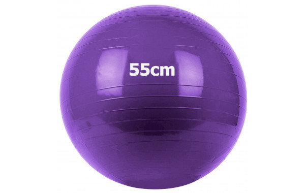 Мяч гимнастический Gum Ball d55 см Sportex GM-55-4 фиолетовый 600_380