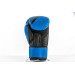 Боксерские перчатки UFC PRO Performance Rush Blue,16oz 75_75