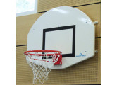 Щит баскетбольный веерообразной формы Schelde Sports 1611868