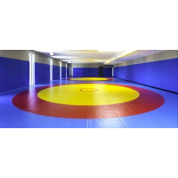 Покрытие для борцовского ковра SportMat с люверсами, глянцевое ПБК-ГЛ