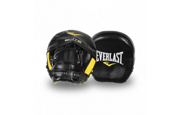 Лапы боксерские Everlast Elite Mini PU P00001213 600_380