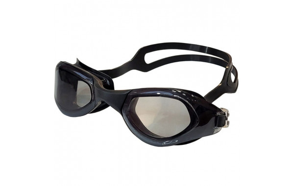 Очки для плавания взрослые Sportex E36856-8 черный 600_380