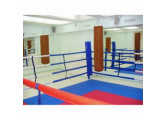 Ринг боксерский на растяжках Atlet 6х6 м, боевая зона 5х5 м, монтажная площадка 9х9 м IMP-A427