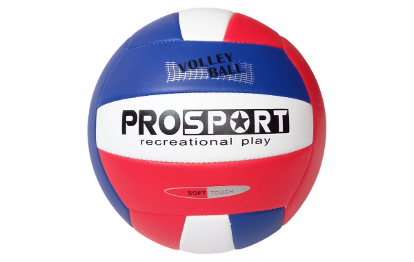 Мяч волейбольный Sportex E40006-1 р.5 600_380