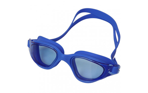 Очки для плавания взрослые Sportex E36880-1 синий 600_380