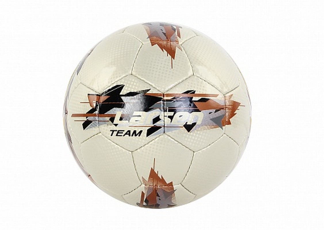 Мяч футбольный Larsen Team р.5 1127_800
