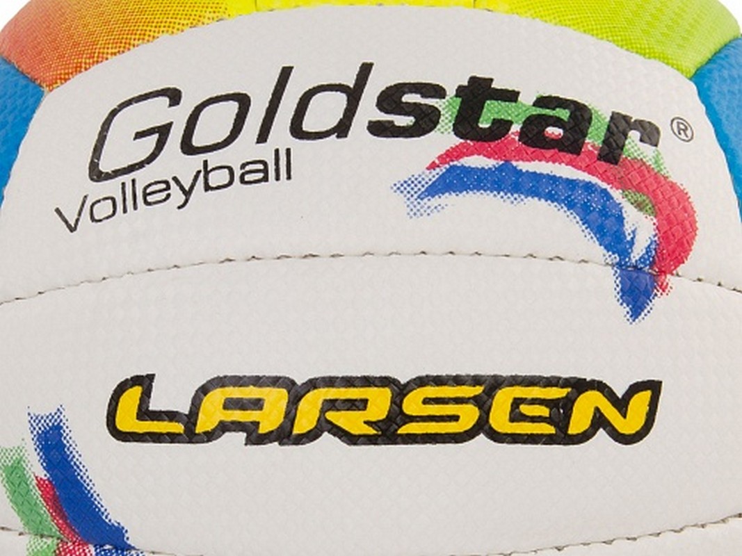 Мяч волейбольный Larsen Gold Star р.5 1067_800