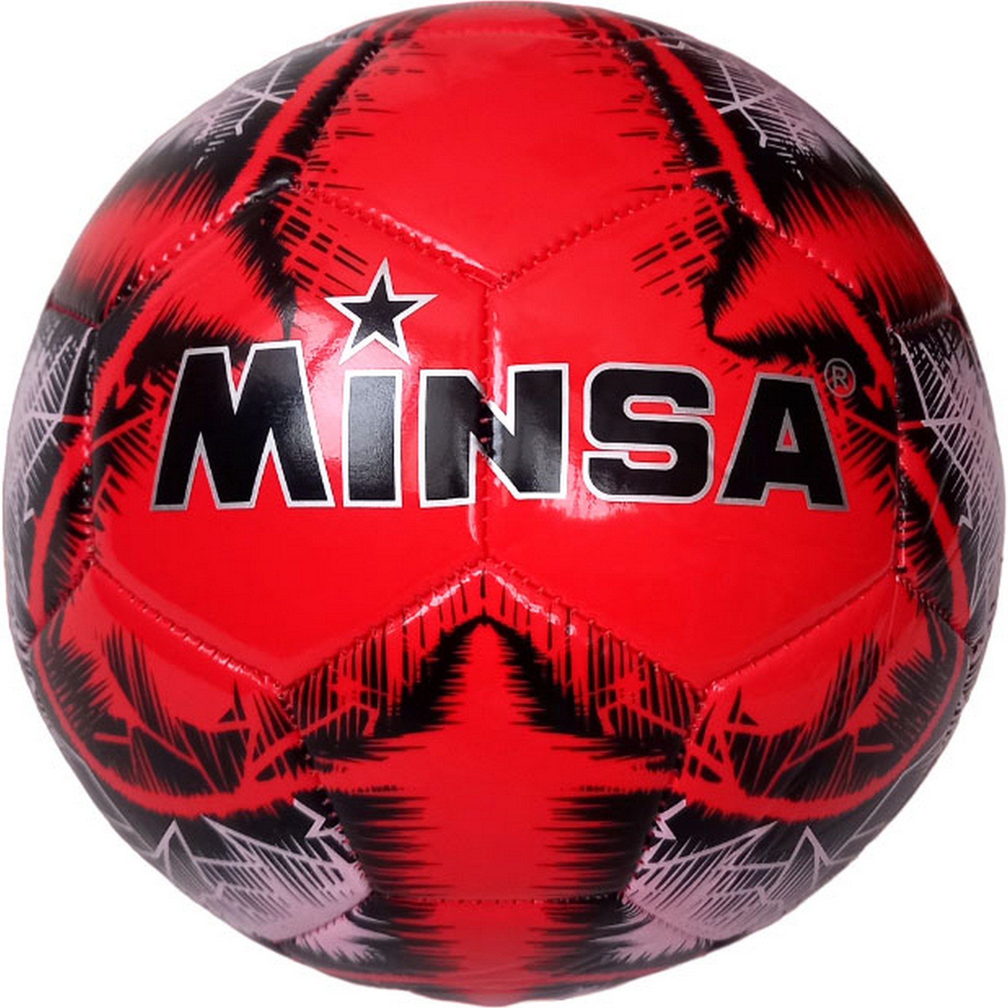 Мяч футбольный Minsa B5-8901-1 р,5 2000_2000
