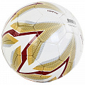 Мяч футбольный Larsen Vertu р.5 120_120