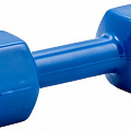 Гантель в виниловой оболочке 5 кг Profi-Fit форма шестигранник, синий 120_120