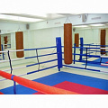 Ринг боксерский на растяжках Atlet 7х7 м, боевая зона 6х6 м, монтажная площадка 10х10 м IMP-A426 120_120